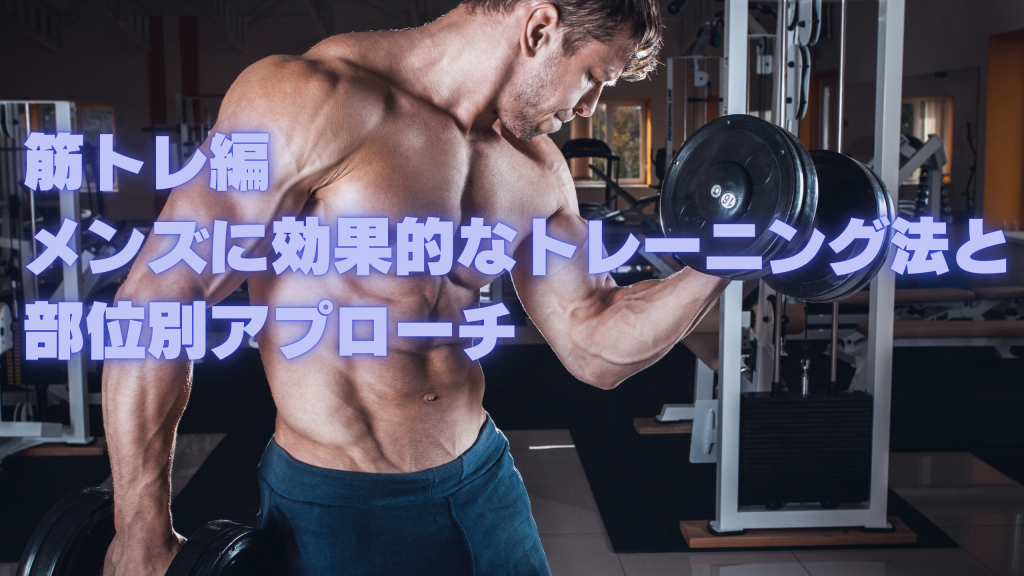 筋トレ編｜メンズに効果的なトレーニング法と部位別アプローチ